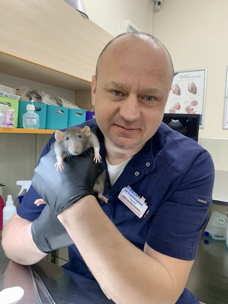 Врач ветеринарной клиники Умная ветеринария с грызуном на руках