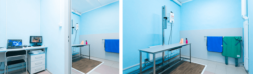 кабинет рентген-иследований в вет клинике